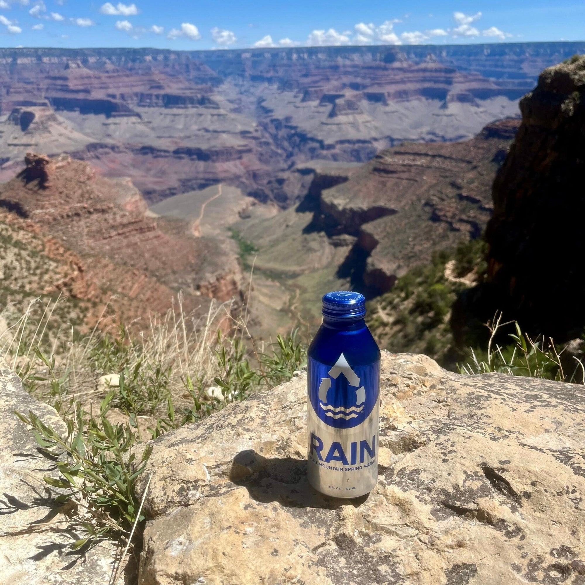 The Summer Adventure Sidekick: RAIN Plastic-Free Spring Water - RAIN