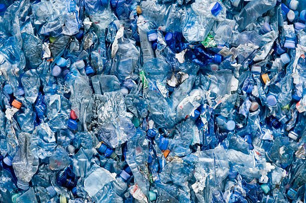 Clearing the Path to a Plastic-Free World