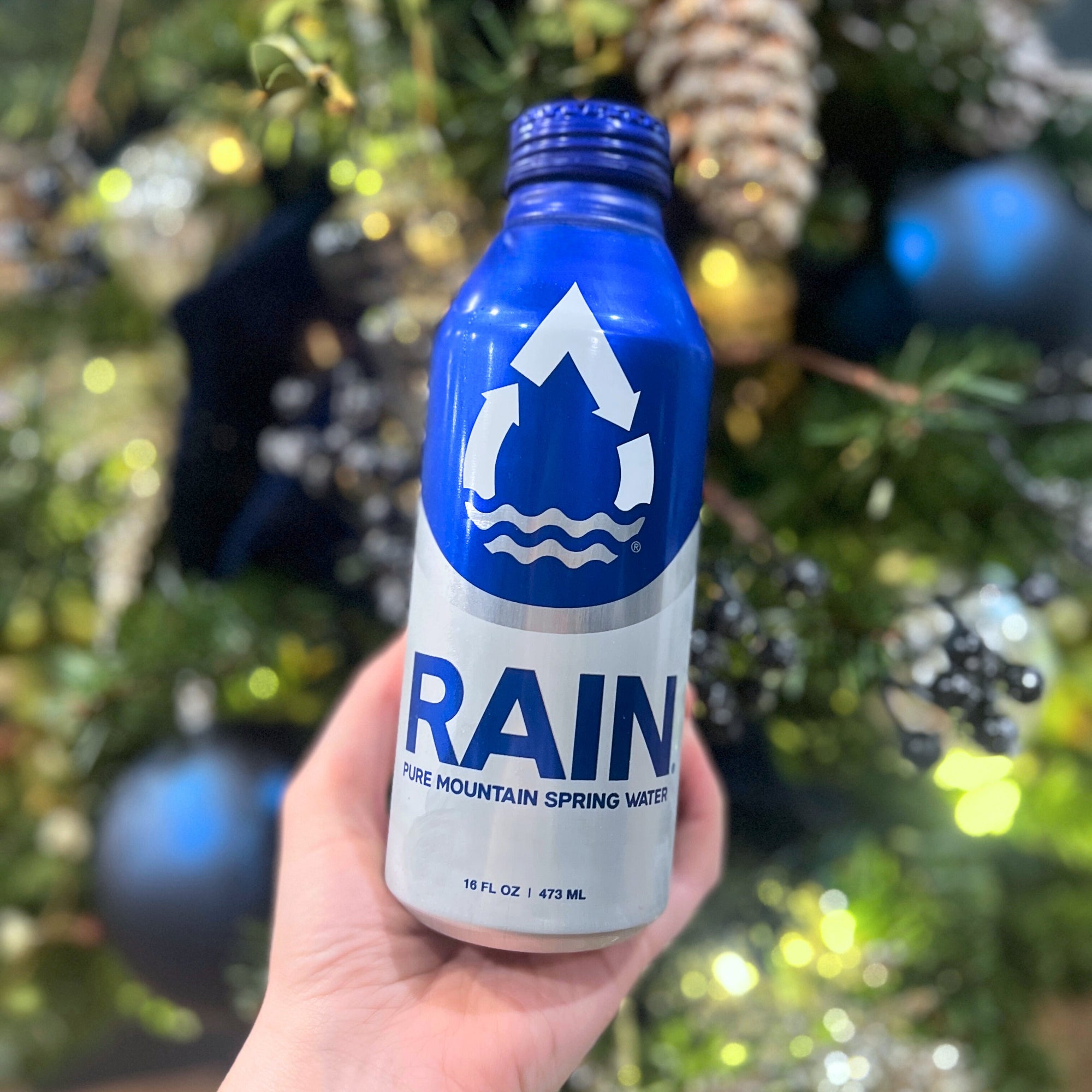 How To Have A Sustainable Holiday Season - RAIN
