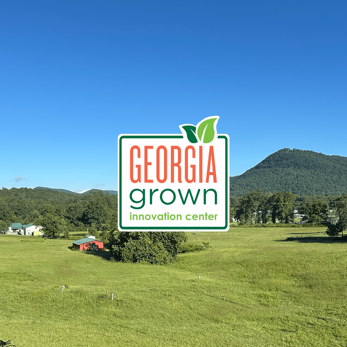 RAIN Joins Georgia Grown Showcasing North Georgia Spring Water - RAIN