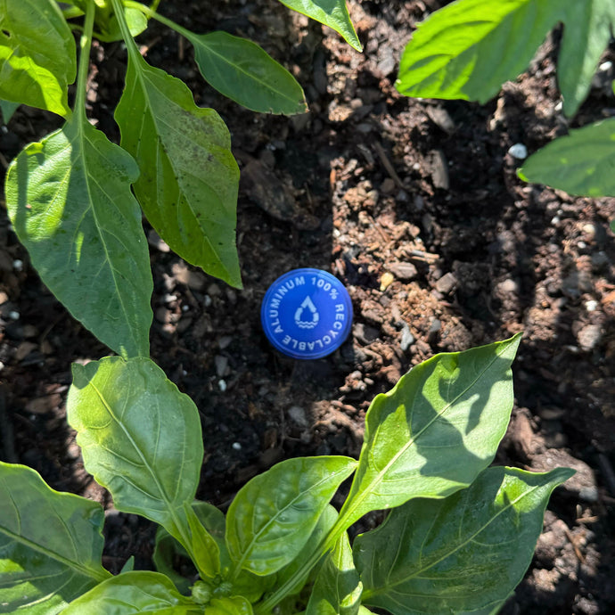 Sustainable Sourcing 101: What Buyers Need to Know About Spring Water