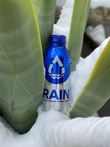 (1 Bottle) RAIN Pure Mountain Spring Water - RAIN